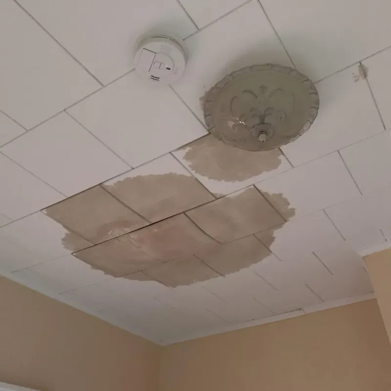 Ceiling Water Damage Repair in Washtenaw County, MI