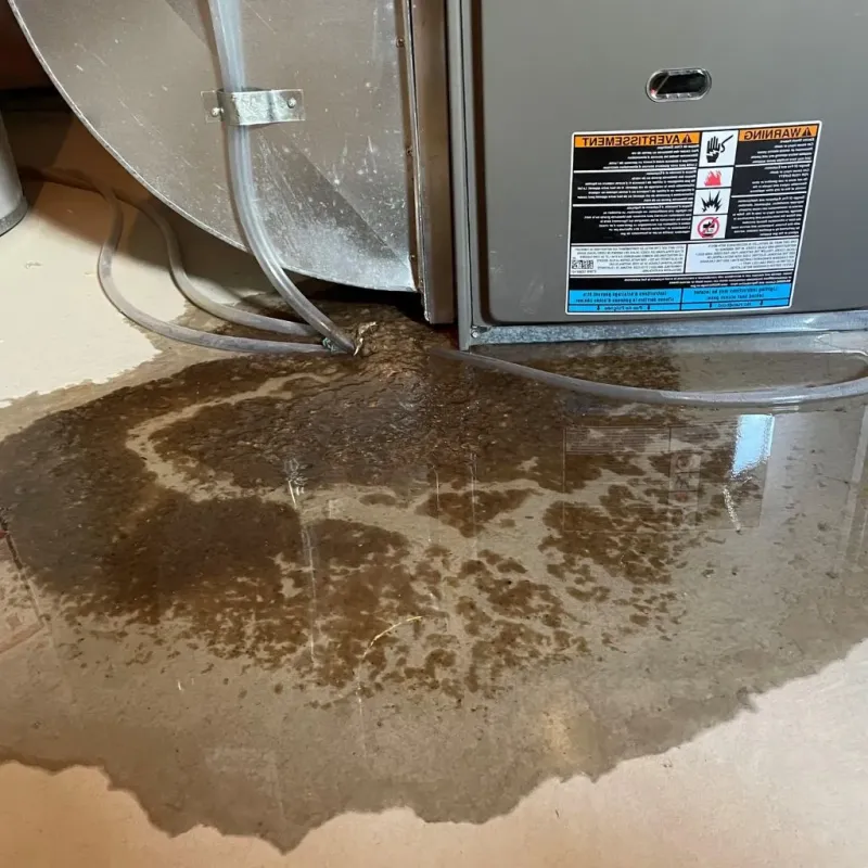 Pipe Burst and Leak Restoration in Washtenaw County, MI